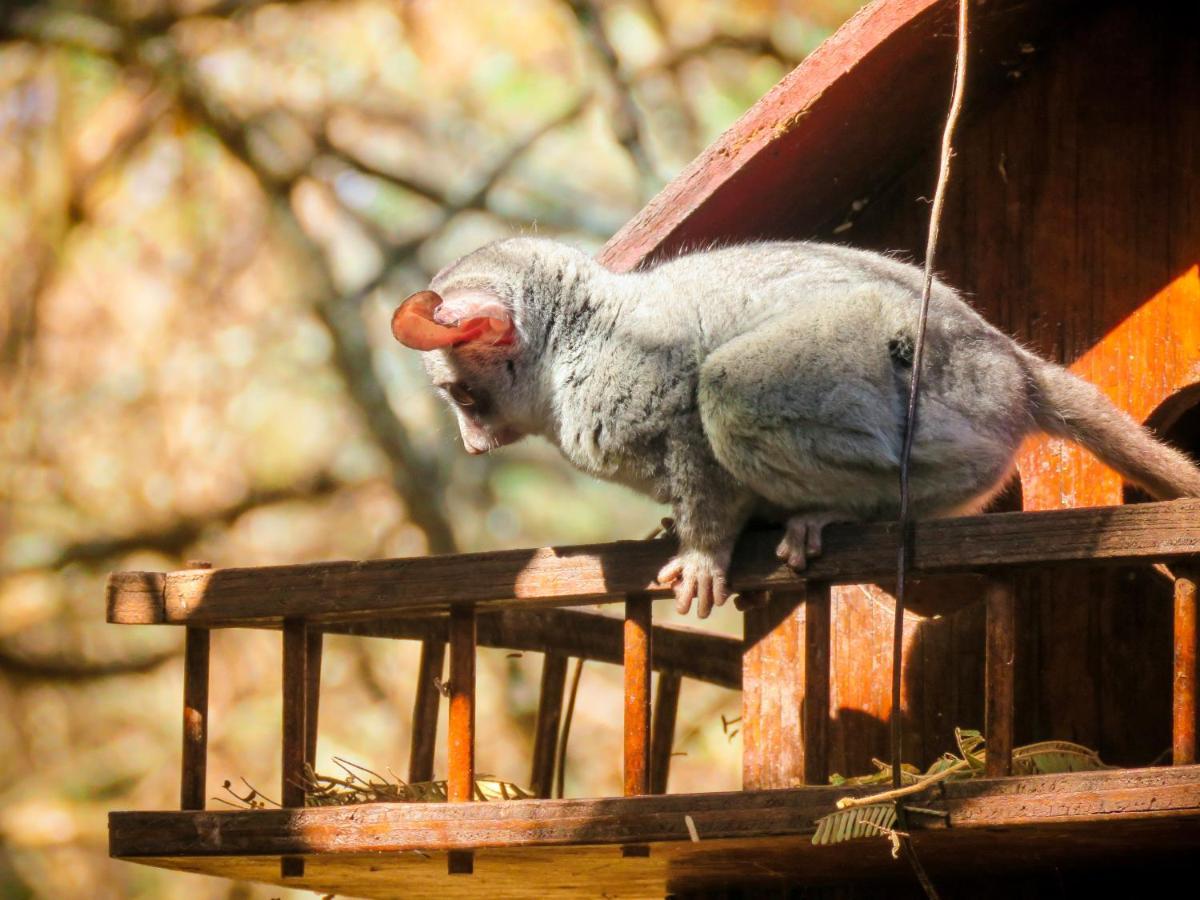 515 On Warthog By The River Marloth Park Exterior photo